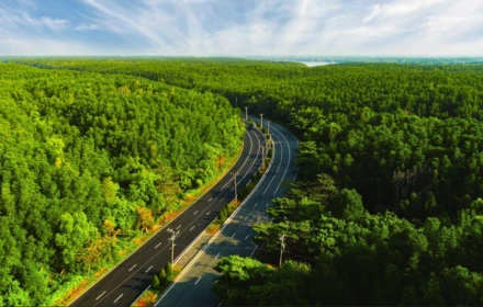 Vịnh Ngọc Cần Giờ: Không khí sạch và thiên nhiên nguyên bản định hình chuẩn sống xa xỉ mới