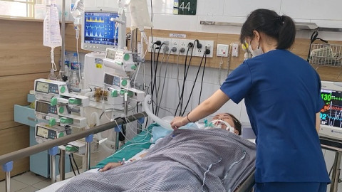 Đúng là lợn lành chữa thành lợn què! Tự sắc rễ cây uống để chữa bệnh lại mang bệnh thêm
