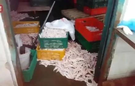 Trung Quốc phát hiện chân gà bán trên mạng bị tẩy trắng bằng hóa chất công nghiệp độc hại!