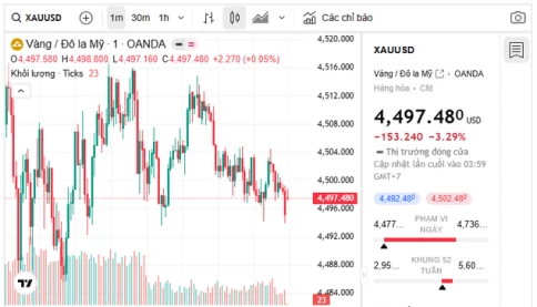 Giá vàng hôm nay tiếp tục giảm mạnh: Giá vàng đã giảm mạnh nhất trong một tuần trong vòng 43 năm