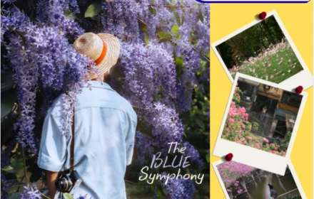 Xướng tên 3 góc Hà Nội hoa nở đẹp mê ly thời gian này: Công viên Thống Nhất và thực vật cảnh thu hút người dừng chân.