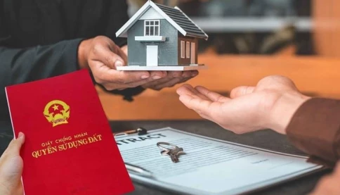 Cha mẹ cho con trai út 3 thửa đất, chị gái muốn ‘đoạt lại’ theo cách không ngờ