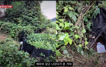 Công bố video vụ nữ diễn viên trẻ bị giết hại dã man, vứt xác trong bụi rậm