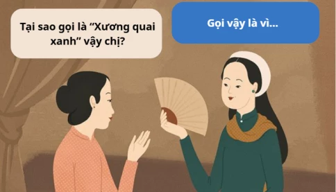“Xương quai xanh”, tại sao một bộ phận cơ thể lại mang cái tên nghe có vẻ rất... thơ như vậy?