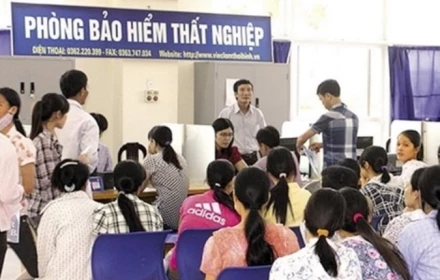 Có 13 trường hợp người lao động bị chấm dứt hưởng trợ cấp thất nghiệp