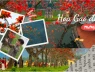 Bao giờ cho đến tháng 3, Hà Nội “đỏ lửa” mùa hoa gạo về: Từ Hồ Gươm đến làng quê ven sông, một sắc hoa gợi cả ký ức và nhịp sống