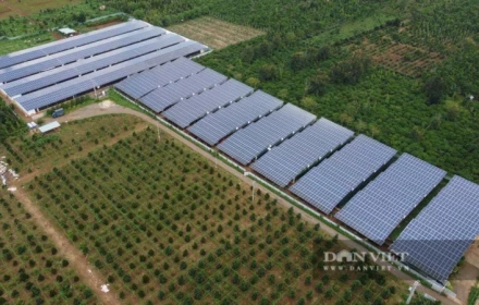 Bỏ ra 30 tỷ lắp điện mặt trời trên chuồng gà, chủ trang trại tiết kiệm hàng tỷ tiền điện, giảm phát thải 8.000 tấn CO2