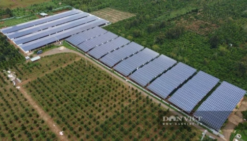 Bỏ ra 30 tỷ lắp điện mặt trời trên chuồng gà, chủ trang trại tiết kiệm hàng tỷ tiền điện, giảm phát thải 8.000 tấn CO2