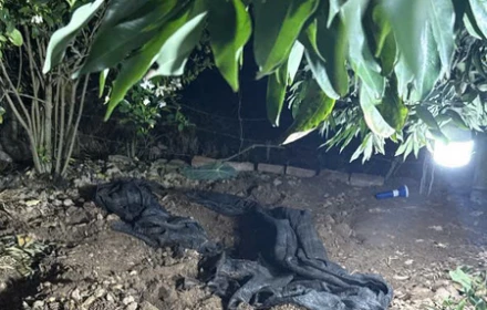 Bắt nghi phạm sát hại cụ bà 87 tuổi, phi tang thi thể tại vườn chuối