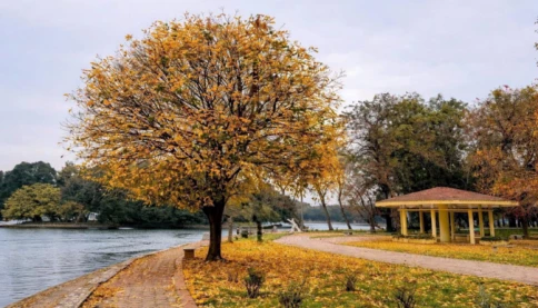 Đố mọi người biết đây là ở đâu Hà Nội?