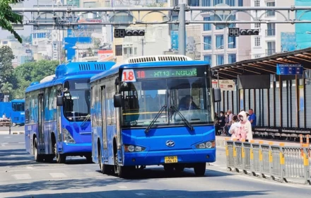 TPHCM sẽ miễn phí xe buýt cho toàn dân! 🥰