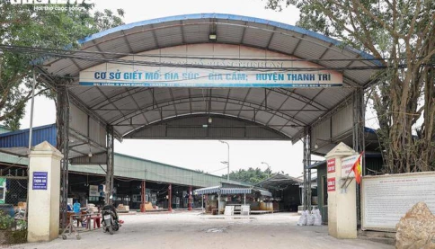 Cận cảnh lò mổ tuồn gần 300 tấn lợn bệnh vào trường học, chợ đầu mối ở Hà Nội