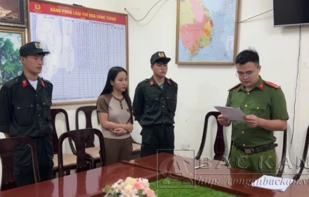 Vì sao  Ngô Thị Hồng Như sinh năm 2003 bị bắt khẩn cấp👇👇