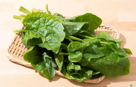 Không ngờ loại rau dân dã như mồng tơi lại có tác dụng làm đẹp đặc biệt tốt