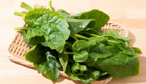 Không ngờ loại rau dân dã như mồng tơi lại có tác dụng làm đẹp đặc biệt tốt