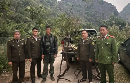 Cơn sốt muội hồng và hệ lụy đối với hệ sinh thái núi đá vôi