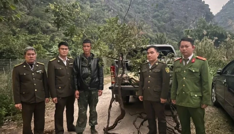 Cơn sốt muội hồng và hệ lụy đối với hệ sinh thái núi đá vôi