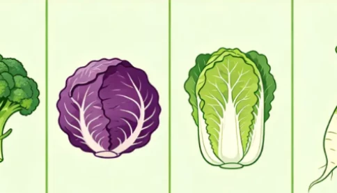 Rất có thể bạn đang ăn những thực phẩm thuộc "nhóm chống ung thư" này mỗi ngày mà không hề hay biết!