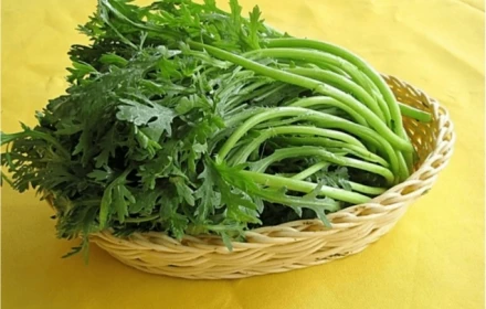 5 loại rau không sử dụng thuốc sâu, kích thích, mềm, bổ dưỡng và giá cả phải chăng