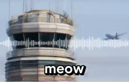 Hai phi công Mỹ bị điều tra vì phát âm thanh “meo meo” và “gâu gâu” trên tần số khẩn cấp