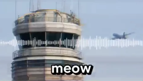 Hai phi công Mỹ bị điều tra vì phát âm thanh “meo meo” và “gâu gâu” trên tần số khẩn cấp