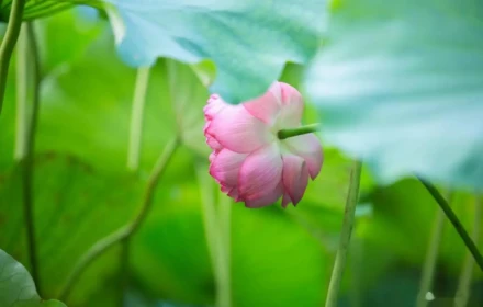 Một khi vợ chồng trung niên làm điều này, mối quan hệ ngày càng trở nên nguội lạnh và ly hôn chỉ là vấn đề thời gian