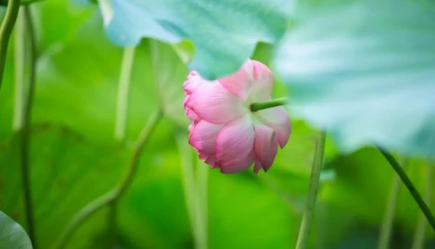 Một khi vợ chồng trung niên làm điều này, mối quan hệ ngày càng trở nên nguội lạnh và ly hôn chỉ là vấn đề thời gian