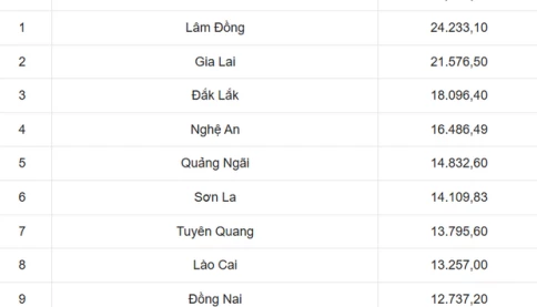 Top 10 tỉnh rộng nhất Việt Nam sau khi sáp nhập