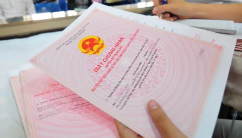 Đây là lý do nhiều cha mẹ không muốn sang tên nhà, đất cho con!