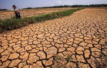 El Nino có xác suất tới 90% quay trở lại: Nam Bộ đối mặt nguy cơ bão đổ bộ, hạn hán và xâm nhập mặn khốc liệt