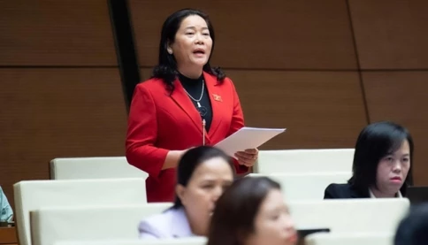 Đại biểu Quốc hội chỉ ra nghịch lý giá xăng giảm, hàng hóa vẫn “neo cao”