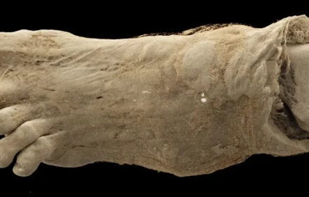 Những chi tiết rùng rợn về bàn chân và hộp sọ của các xác ướp Ai Cập 2.300 năm tuổi được hé lộ