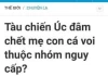 Tổng hợp những tiêu đề bá đạo nhất từng thấy