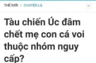 Tổng hợp những tiêu đề bá đạo nhất từng thấy