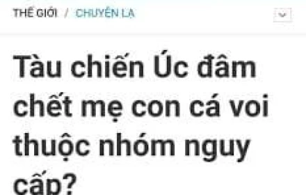 Tổng hợp những tiêu đề bá đạo nhất từng thấy
