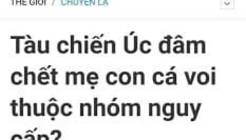 Tổng hợp những tiêu đề bá đạo nhất từng thấy