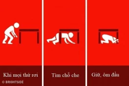 Cần làm gì khi động đất? Ghi nhớ ngay những điều này để tăng cơ hội sống sót