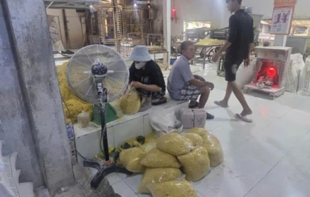 Hai vợ chồng trộn thủy tinh lỏng vào mì tươi, tuồn ra thị trường 2.800 tấn