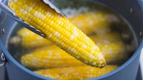 Ăn ngô buổi sáng có tốt không?