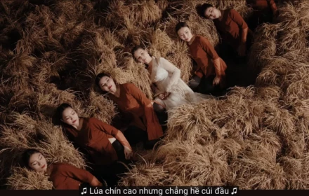 Tranh cãi câu hát 'Lúa chín cao mà chẳng hề cúi đầu' của Hòa Minzy