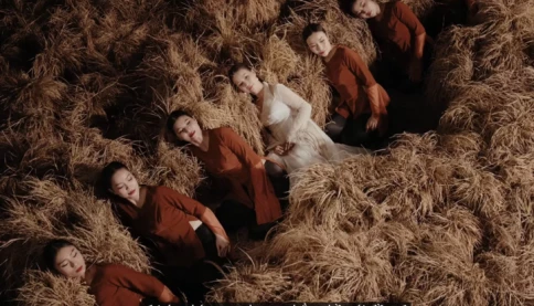 Tranh cãi câu hát 'Lúa chín cao mà chẳng hề cúi đầu' của Hòa Minzy