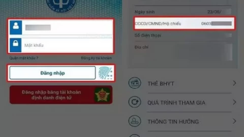 Cập nhật CCCD trên VSSID như thế nào?