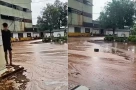 Đen thì chớ kể! Sét đánh trúng nhà máy đường, hàng ngàn tấn mật tràn ra ngoài👇