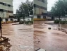 Đen thì chớ kể! Sét đánh trúng nhà máy đường, hàng ngàn tấn mật tràn ra ngoài👇