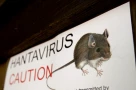 Bệnh nhân du thuyền liên quan đến Hantavirus nhập cảnh vào Nam Phi: Truy dấu tiếp xúc đã được bắt đầu