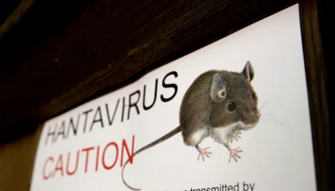 Bệnh nhân du thuyền liên quan đến Hantavirus nhập cảnh vào Nam Phi: Truy dấu tiếp xúc đã được bắt đầu