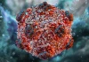 Hantavirus có lây từ người sang người không? Giải thích rõ để tránh hiểu sai