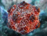 Hantavirus có lây từ người sang người không? Giải thích rõ để tránh hiểu sai