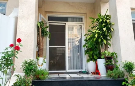 Đặt cây xanh trước cửa: 3 loại cây quen thuộc lại âm thầm gây hại cho nhà bạn