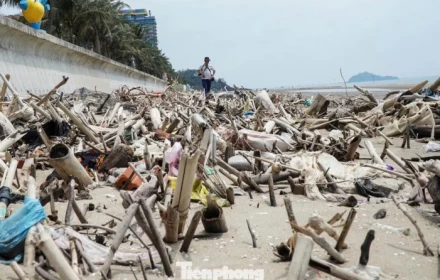 Cảnh tượng kinh hoàng ở bãi biển Hải Tiến